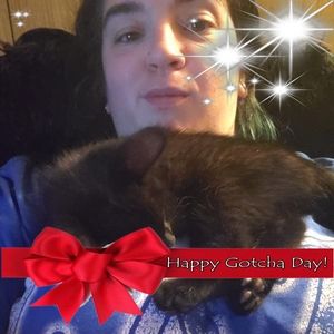 Meet your Posher, Julie